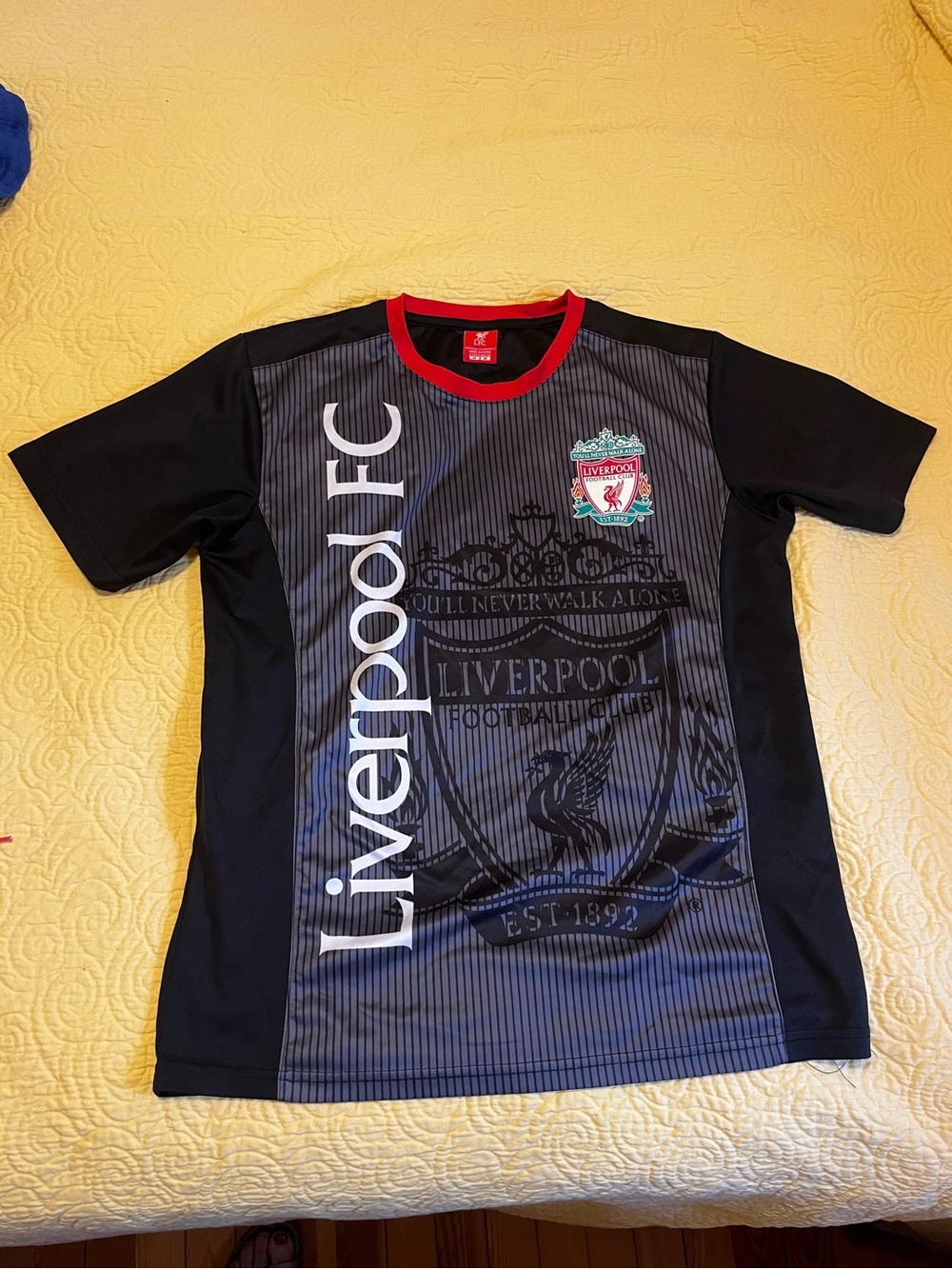 Liverpool FC Men's Football Shirt Jersey Official LFC Product